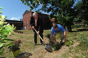 Charles Huston, III and Scott Huston plant a rose push together 