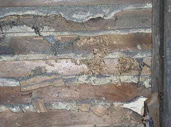 Backside of wet plaster wall