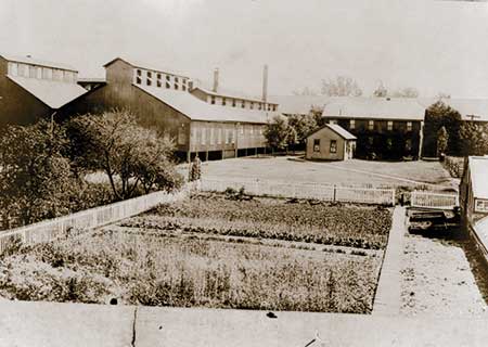 Extensive vegetable and flower gardens were located behind Brandywine Mansion and Terracina. When cash was tight, Rebecca Lukens was known to pay workers with vegetables from her farm. 