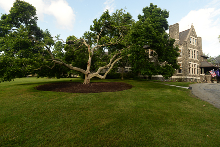 Grounds