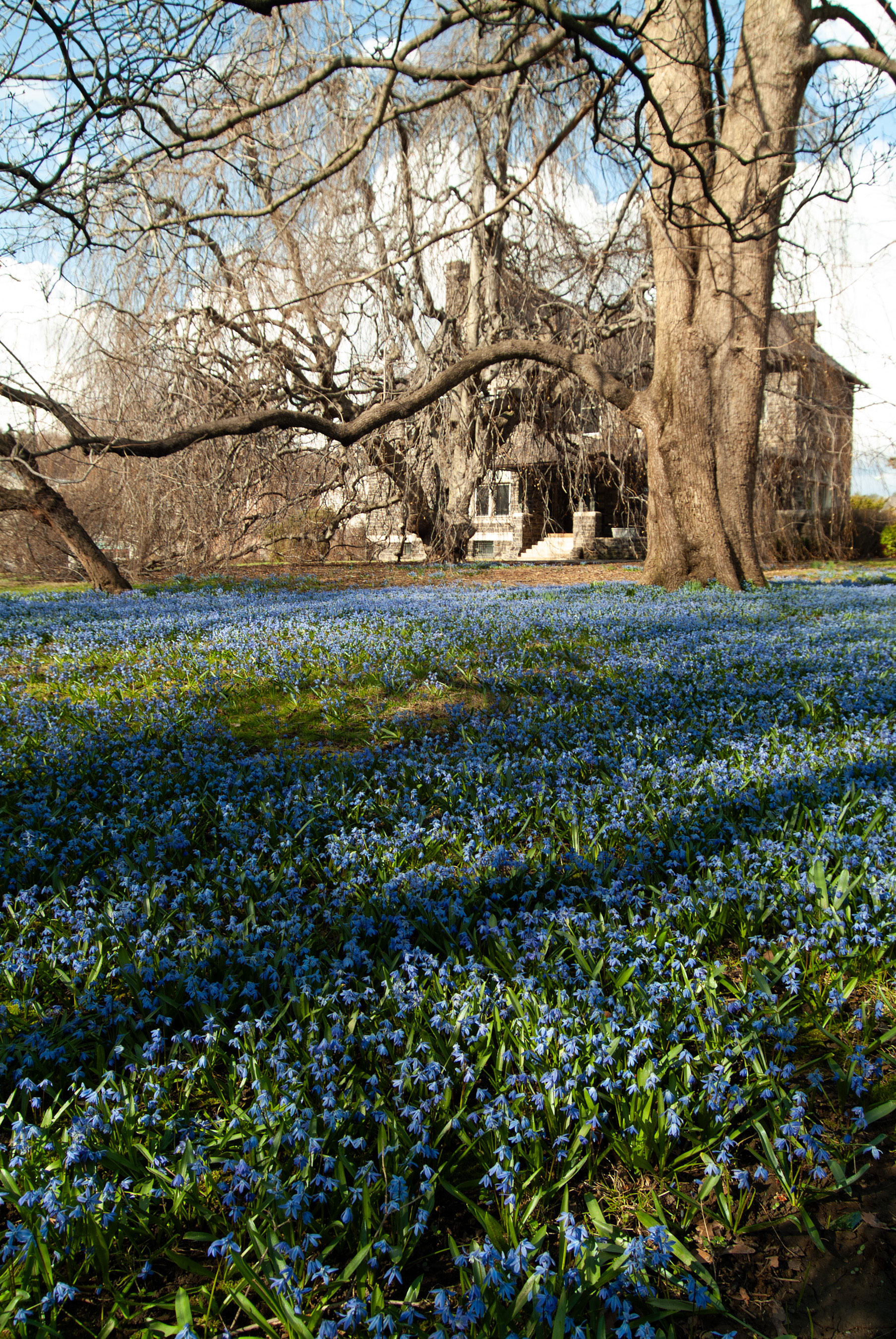 Graystone Mansion 4 - Springtime