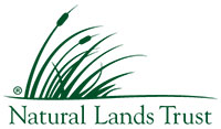 General Sponsor
