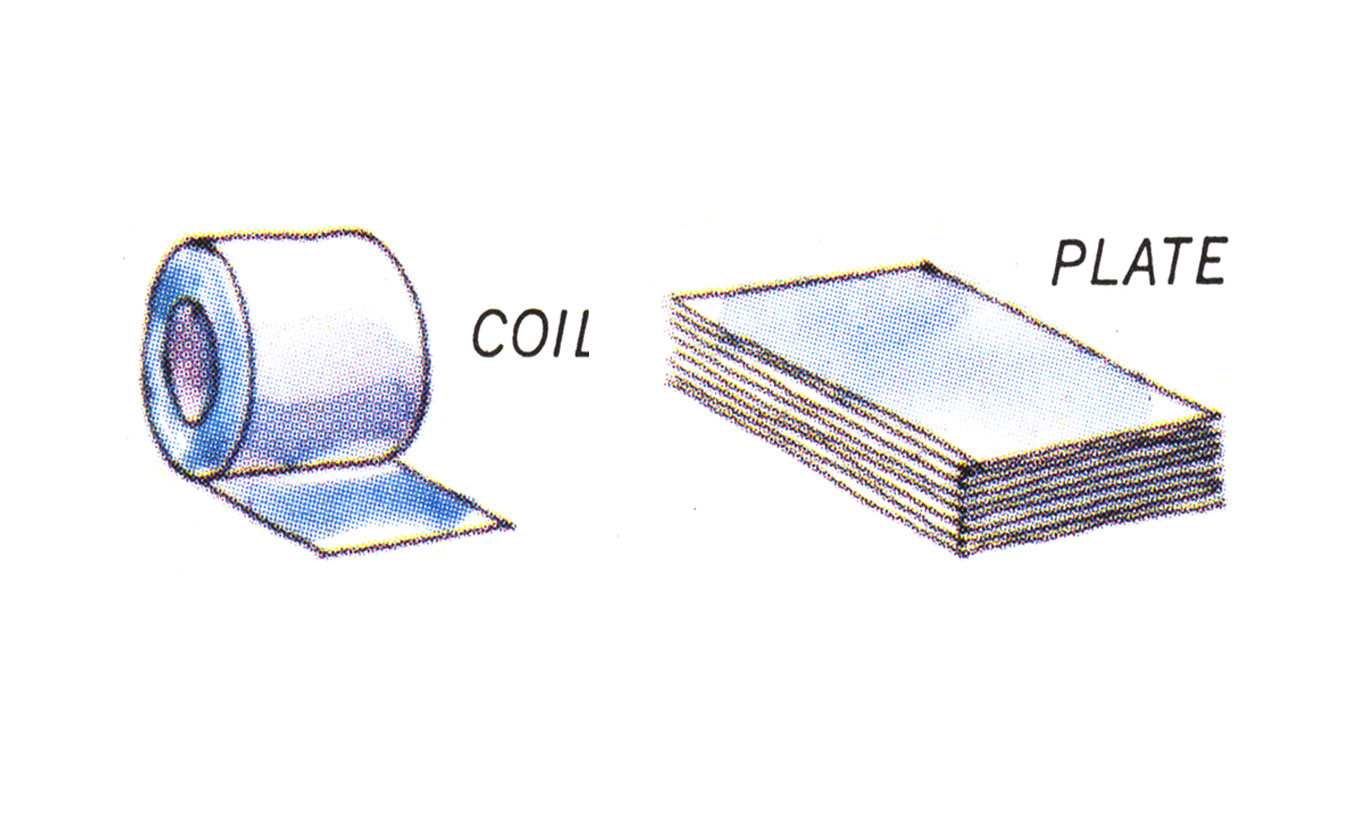 Steel Coil & Plate