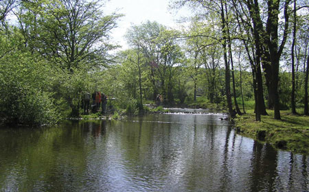 Warwick Park
